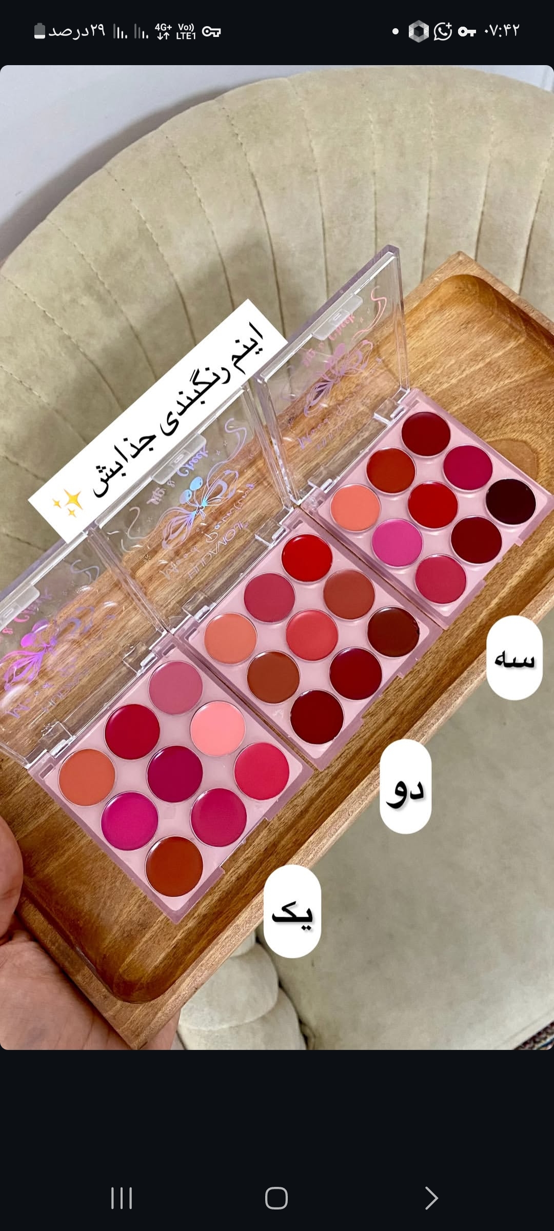 پالت رژلب خاص ودوست داشتنی